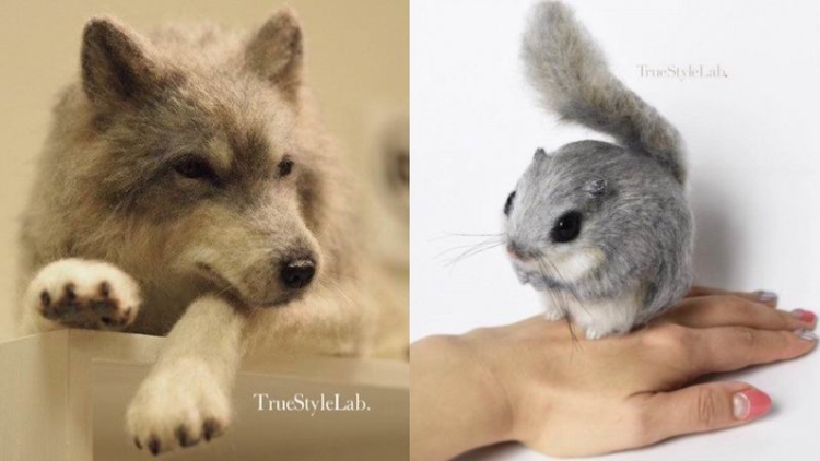 Wow! Seniman Jepang Ciptakan Replika Hewan Dari Benang Wol yang Mirip Sungguhan!