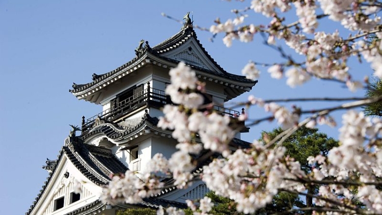 10-alasan-untuk-mengunjungi-kochi-6