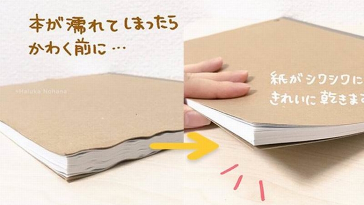 seniman-jepang-berikan-tips-merapikan-halaman-buku-yang-lembab-basah-1