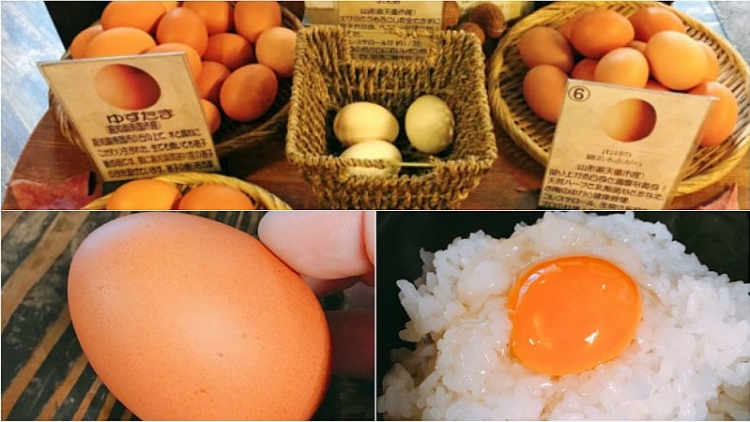 mencoba-3-rasa-unik-telur-mentah-di-kisaburo-farm-0