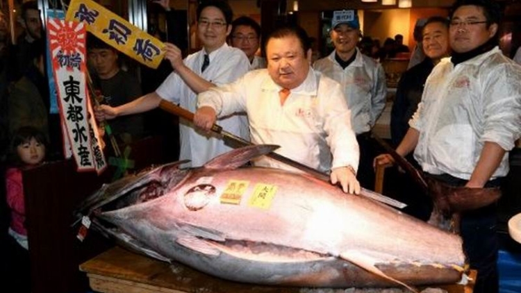 Wow! Ikan Tuna Jepang Ini Terjual 74,2 Juta Yen!