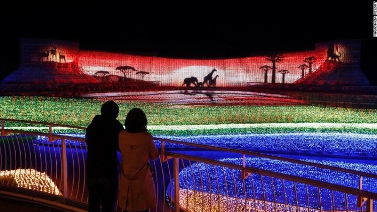 Nabana no Sato, Festival Cahaya di Jepang yang Paling Megah (1)