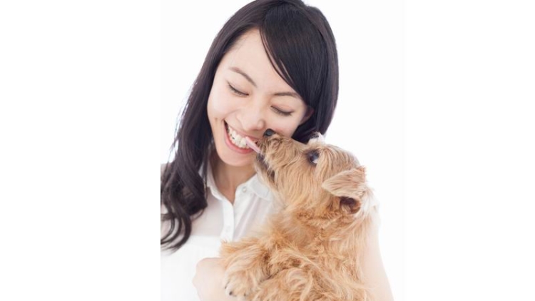 Peneliti Jepang Anjing Memiliki Rasa Moralitas Seperti Manusia (1)