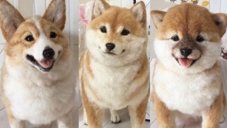 Bukan Anjing Sungguhan, Ini Boneka Wol Super Realistik Karya Seniman Jepang! (4)
