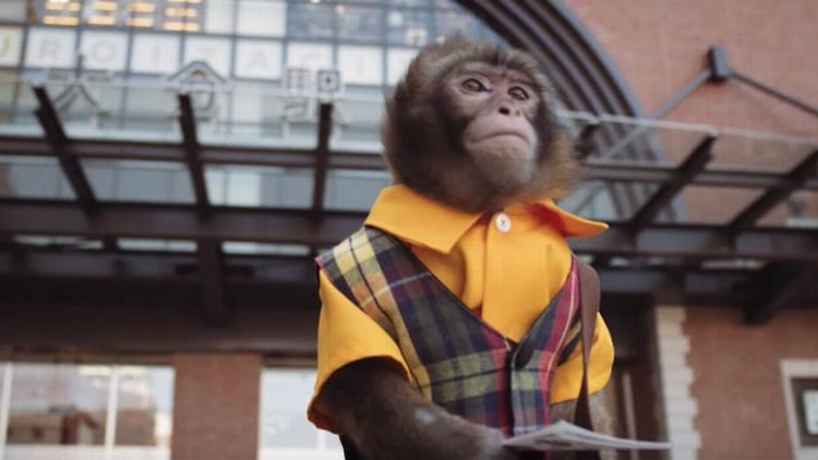 Kota Oita di Jepang Promosikan Pariwisata Dengan Seekor Kera Sebagai Bintangnya