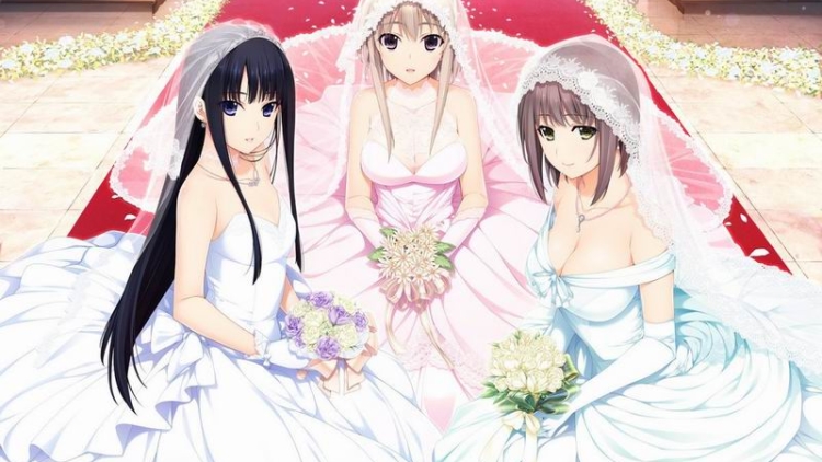 Layanan Menikah Dengan Waifu Kini Tersedia di Jepang