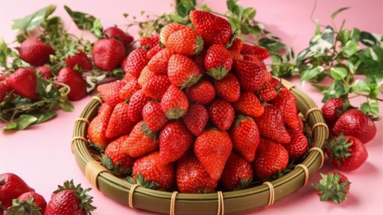 Restoran di Tokyo Menggelar Festival Mencicipi & Membandingkan Rasa Strawberry (1)