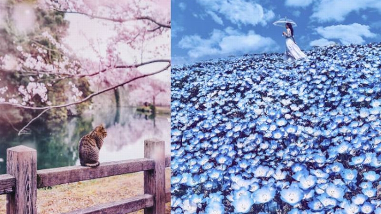 Foto-Foto Pemandangan di Jepang Yang Terlihat Seperti di Negeri Dongeng (1)