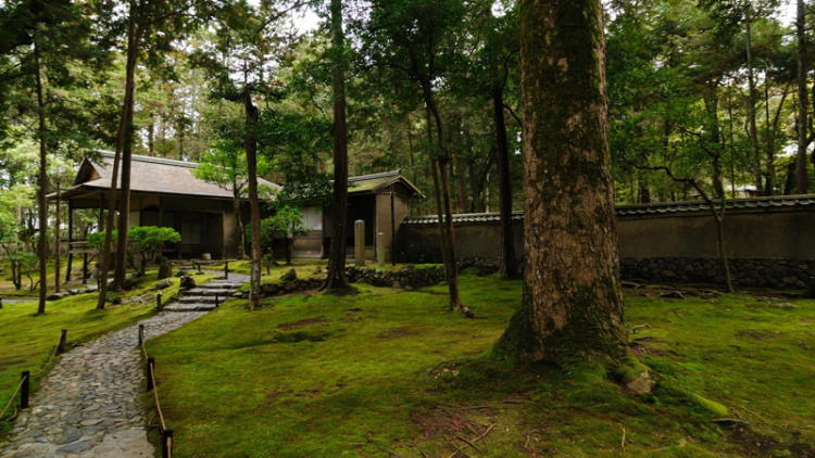 59494da47663d_59494d791521a_1497332445