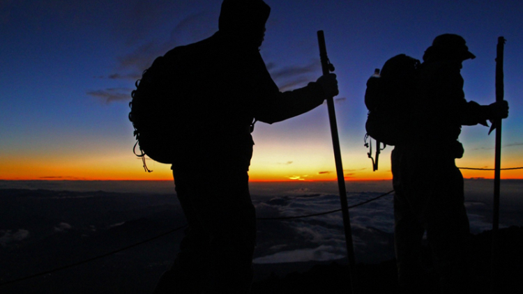 595090577518f_59508d2cd6475_1132226685 595090577518f_59508d2cd6475_1132226685