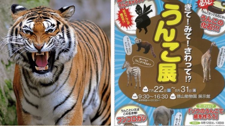 Kebun Binatang Jepang Pamerkan Kotoran Aneka Binatang Yang Bisa Diendus dan Disentuh