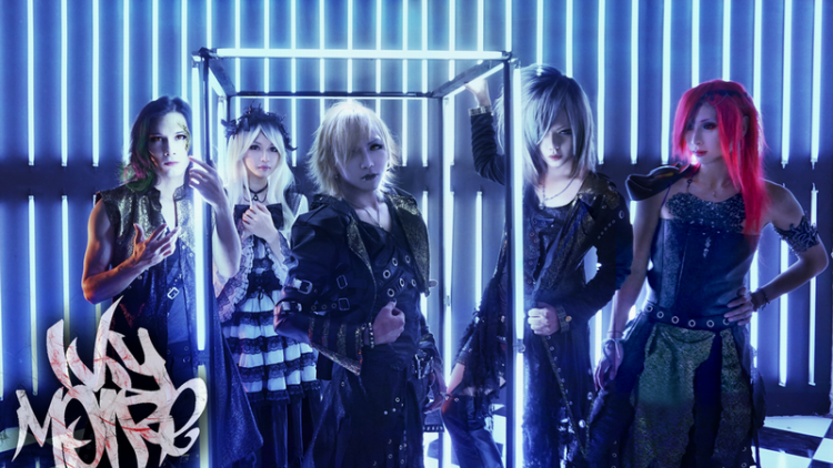 Foto Ivy Moire Foto Ivy Moire