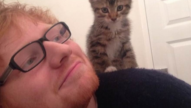 Pulau Kucing di Jepang Minta Ed Sheeran Untuk Berkunjung