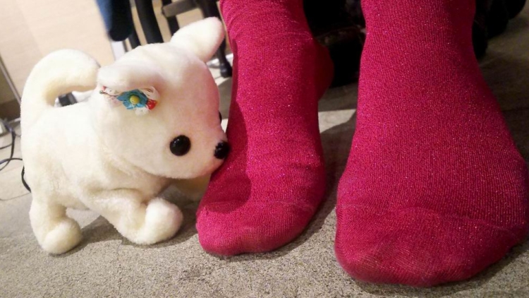 Robot Anjing Dari Jepang Ini Bisa Pingsan Jika Mengendus Kaki Yang Bau