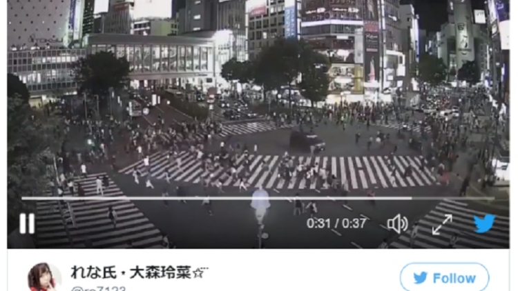 Pria Yang Menabrak Kerumunan Orang Di Persimpangan Shibuya Telah Tertangkap