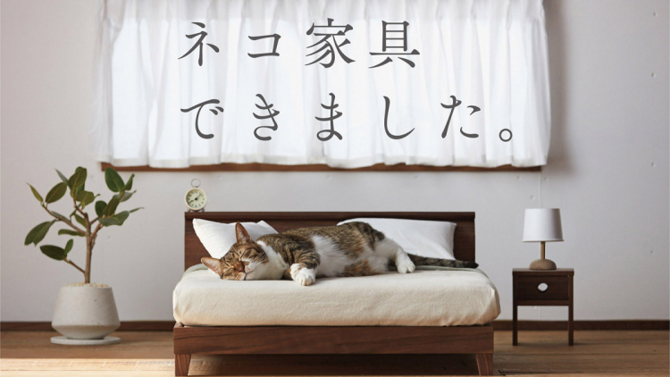 cat-furniture-okawa-city-002-1200x800