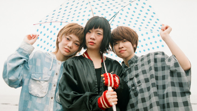 news_header_shishamo_art201709