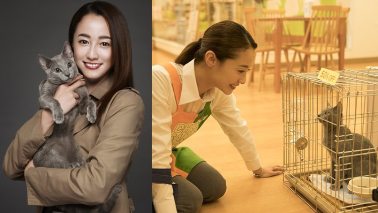 nekohadakumono_201712_01_fixw_730_hq