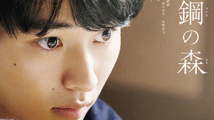 Teaser Film Terbaru Kento Yamazaki Hitsuji to Hagane no Mori