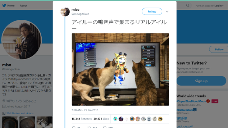 monster hunter monster hunter