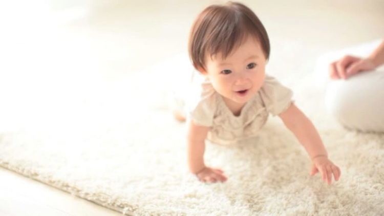 730360934-全身-日本人-絨毯-這ウ