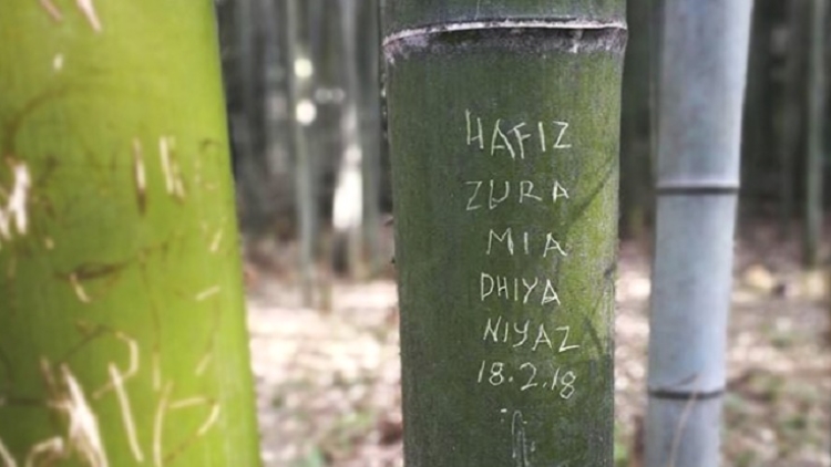 Hutan Bambu Arashiyama di Jepang Jadi Korban Vandalisme Oleh Wisatawan Asing Hutan Bambu Arashiyama di Jepang Jadi Korban Vandalisme Oleh Wisatawan Asing