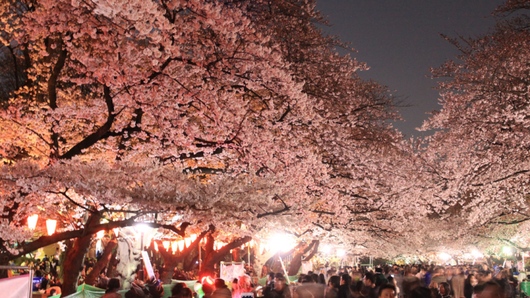 16957361215_546ffbea51_b