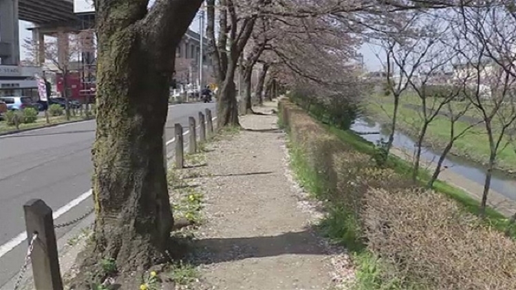 Seorang Wanita Alami Pelecehan Seksual Dan Dirampok Di Kota Toda Seorang Wanita Alami Pelecehan Seksual Dan Dirampok Di Kota Toda