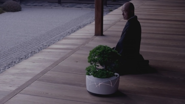 bonsai-ai-artificial-intelligence-technology-plant-2 bonsai-ai-artificial-intelligence-technology-plant-2