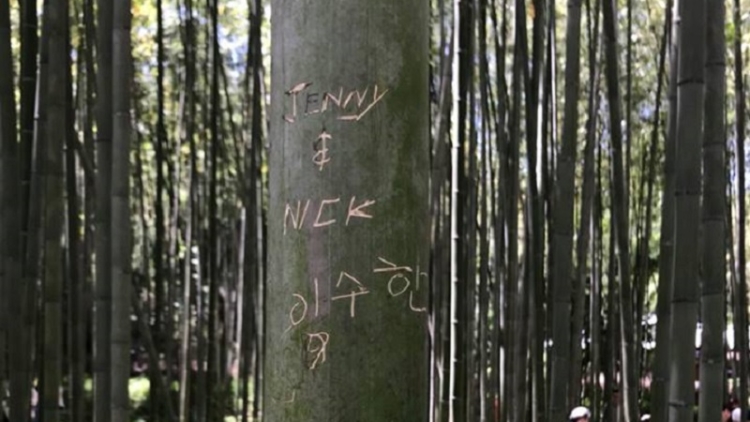 Hutan Bambu Arashiyama Di Kyoto 'Menangis' Karena Aksi Vandalisme Wisatawan