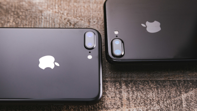 iphone8imgl7800_tp_v iphone8imgl7800_tp_v