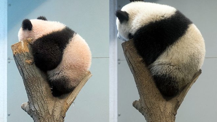 AS20180704003132_comm