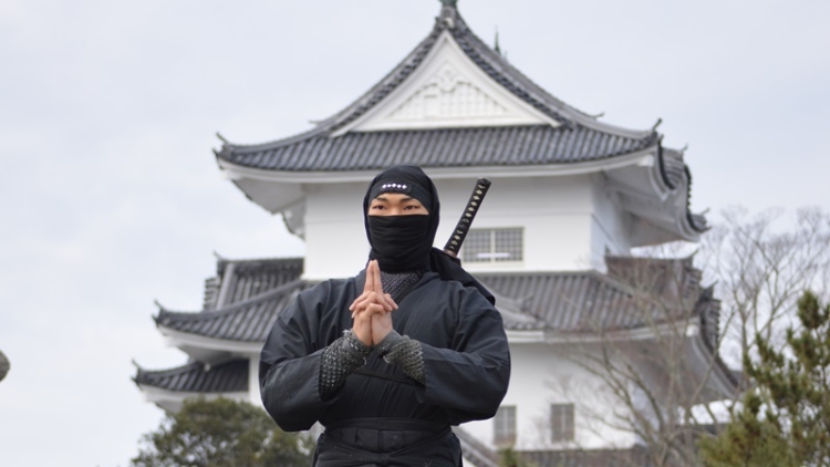 z6-mie-ninja-a-20160525 z6-mie-ninja-a-20160525