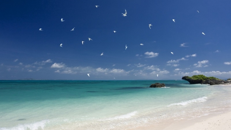 Bosan Dengan Karamaian 4 Pulau Terpencil Di Okinawa Ini Cocok Untuk Kalian