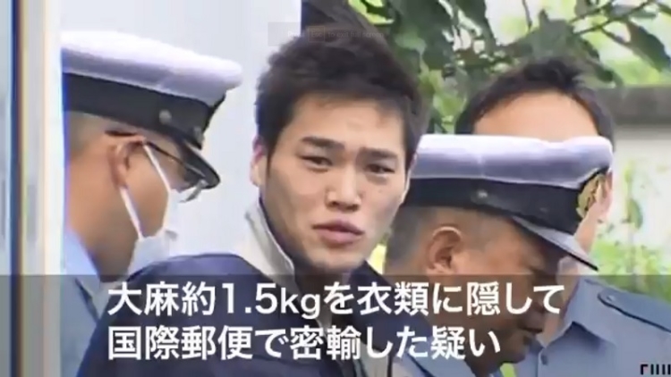 Polisi Jepang Tangkap Komplotan Penyelundup Marijuana Menggunakan Surat Pos Polisi Jepang Tangkap Komplotan Penyelundup Marijuana Menggunakan Surat Pos