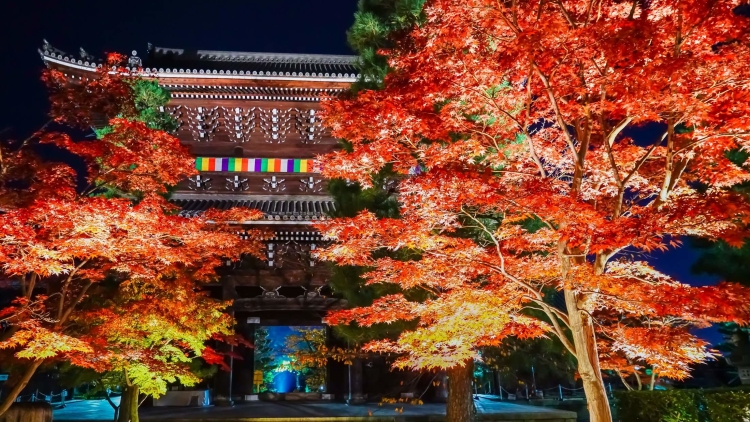 6acbb63b0499a7847a876da6e3bb7cf7