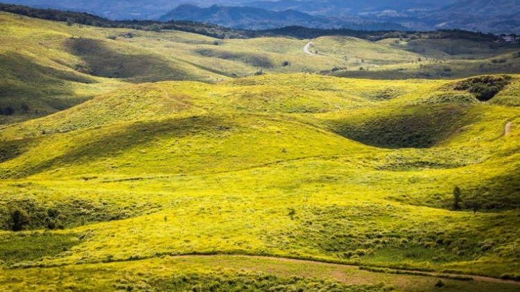 akiyoshidai1 akiyoshidai1