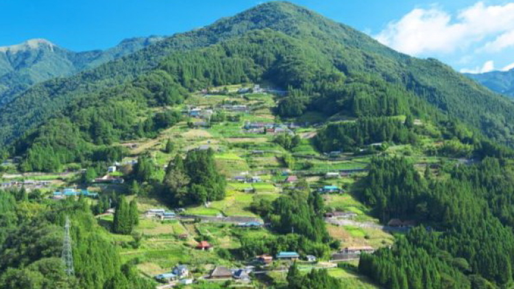 iya-ochiai1 iya-ochiai1