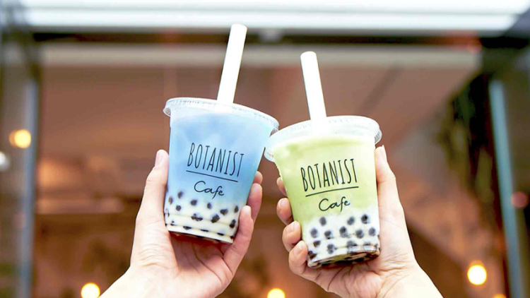 vegboba vegboba