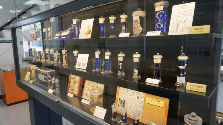 parasitological-museum parasitological-museum