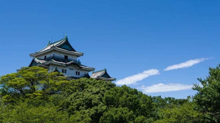 Wakayama Wakayama