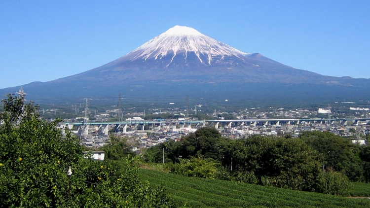 fuji fuji