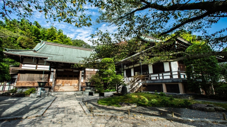 houkokuji0 houkokuji0