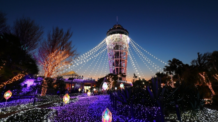 seacandle0 seacandle0