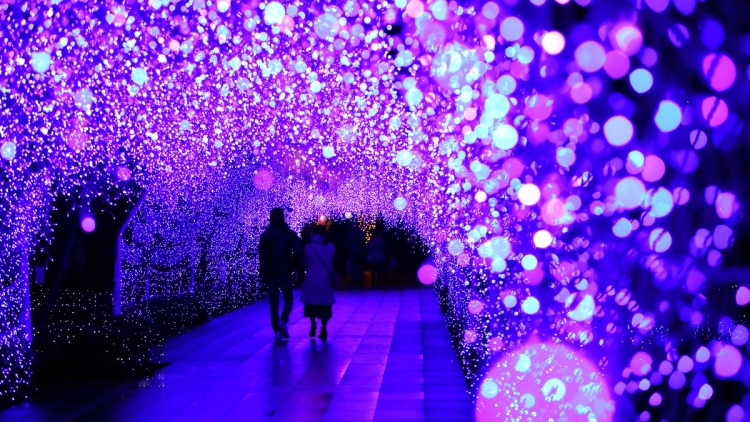 shonan chandelier shonan chandelier