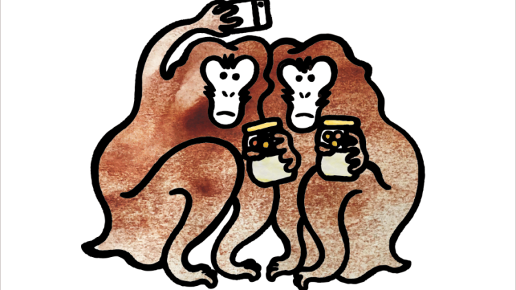 pic-monkey-05 pic-monkey-05