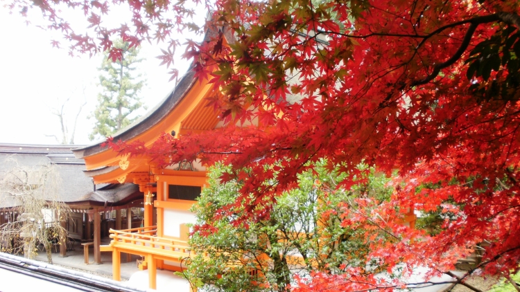 Kuil Izumo Daijin-gu di Kameoka