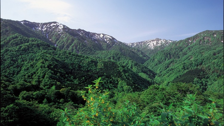 Shirakami Sanchi Shirakami Sanchi