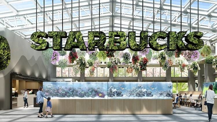 Starbucks Hana Biyori Starbucks Hana Biyori