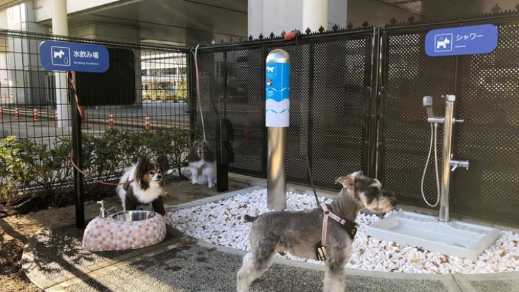 Toilet Khusus Anjing di Itami Airport, Osaka (Foto: https://japantoday.com/) Toilet Khusus Anjing di Itami Airport, Osaka (Foto: https://japantoday.com/)